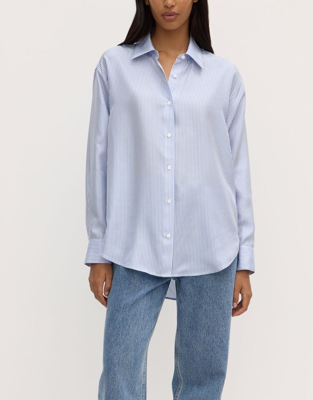 Assembly Label - Spencer Stripe Silk Long Sleeve Shirt