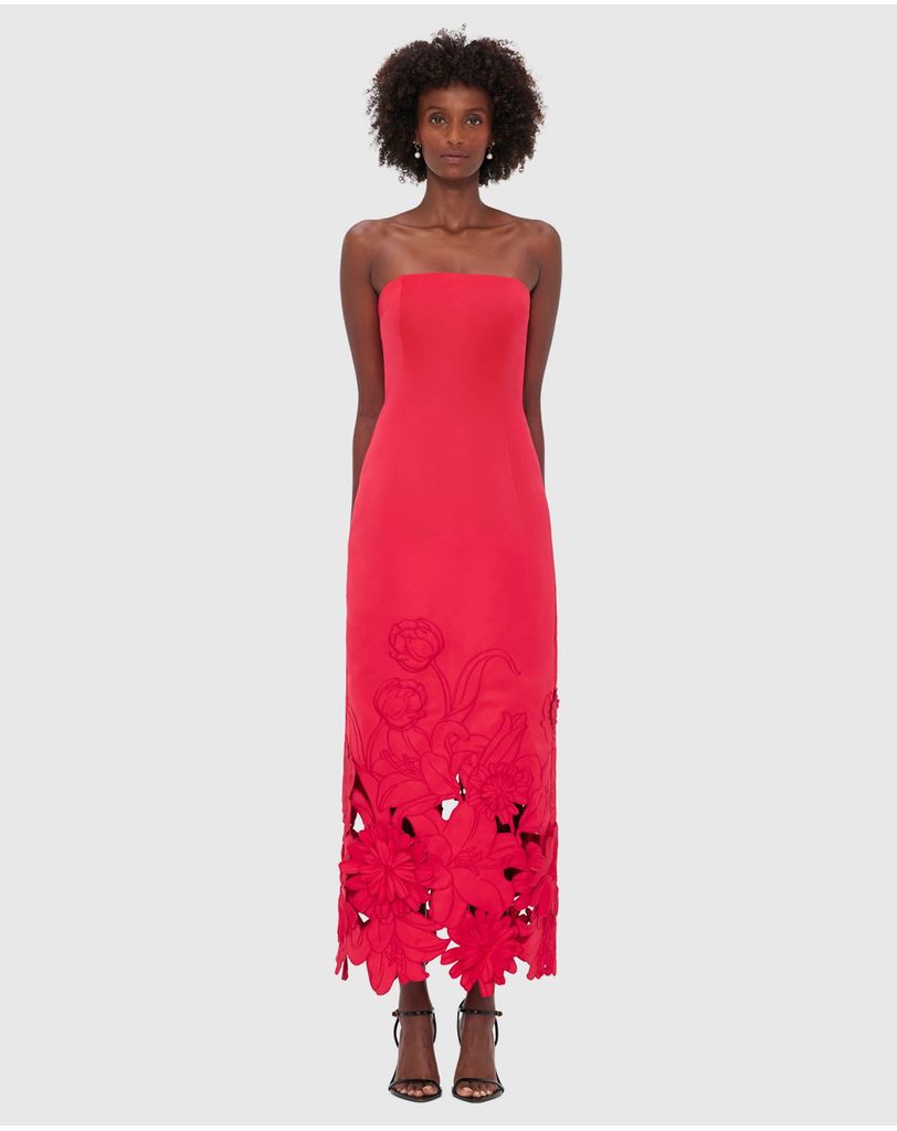 chinese dress ladies Rayna Appliqu Bustier Maxi Dress