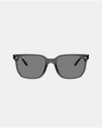 Ray-Ban - 0Rb4466D