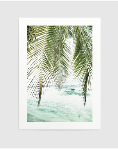 Olive et Oriel - Seaside Palm Art Print
