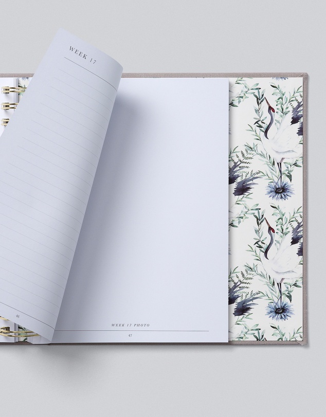 Write to Me - Bump Pregnancy Journal Boxed