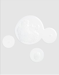 L'Occitane - Lavande Blanche Shower Gel, 250ml