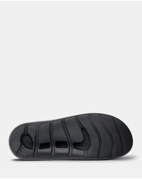 Ascent - Groove Buckle