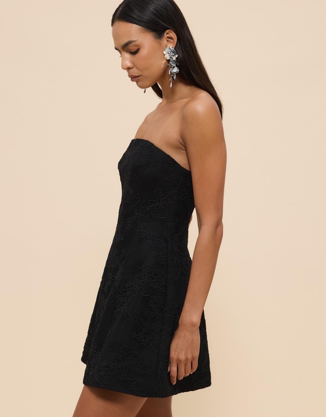 CHANCERY - Lani Strapless Structured Lace Mini Dress