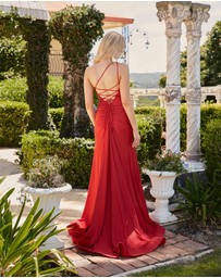 Tania Olsen Designs - Chamomile Formal Dress