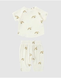 Susukoshi - Boxy Tee x Pant Set