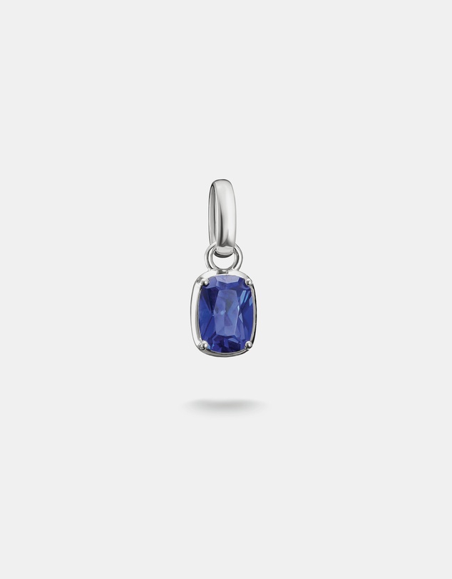 THOMAS SABO - THOMAS SABO Connect Charm Birthstone September