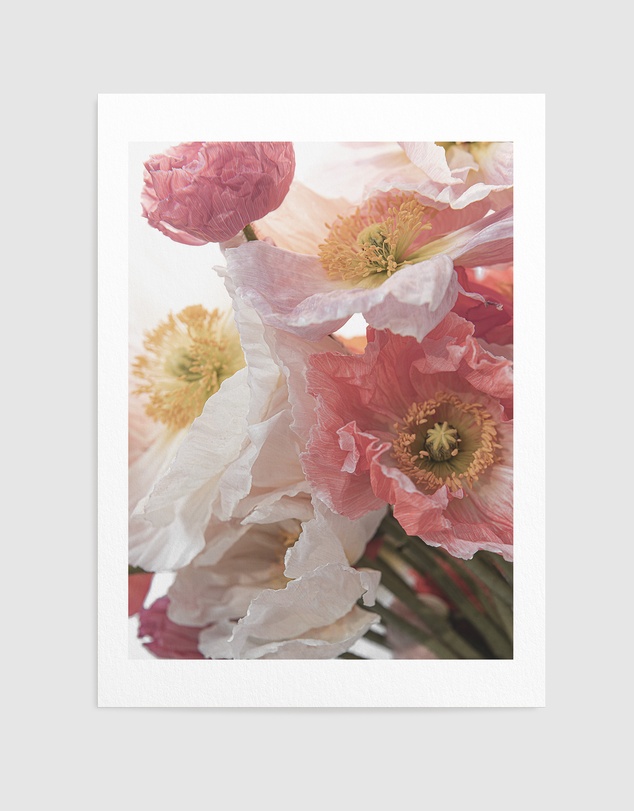 Olive et Oriel - Luxe Poppy II Art Print