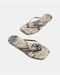 Tkees - Lily Square Toe Exotics