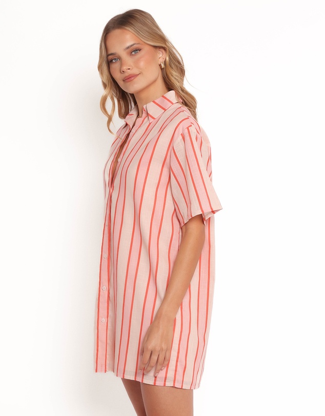 Petal & Pup - Norah Mini Dress - Pink Stripe