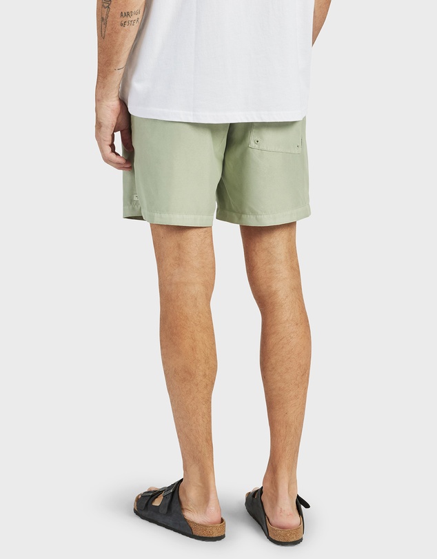 Academy Brand - Teamster Boardy