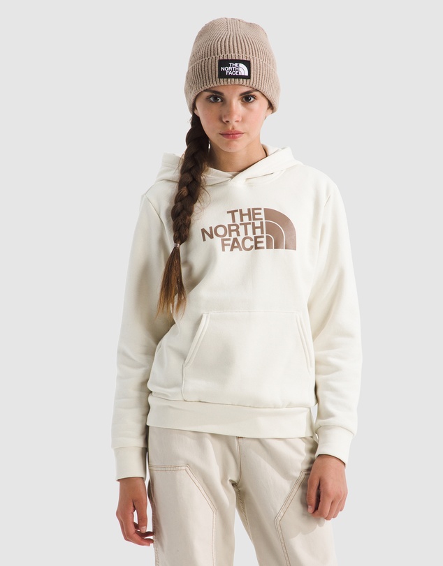 The North Face - Evolution Half Dome Pullover Hoodie - Teens