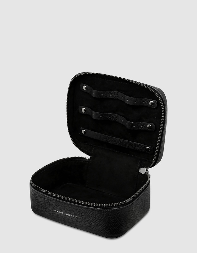 Status Anxiety - Shining Armour Jewellery Case