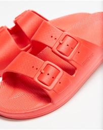 Freedom Moses - Slides - Kids