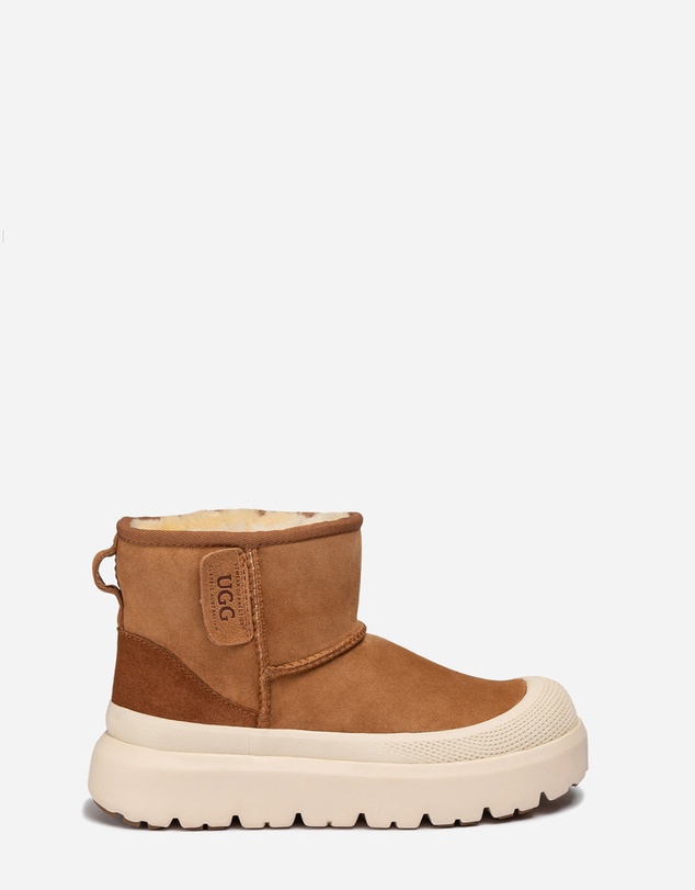 Ozwear Connection Uggs - Ugg Classic Plus Mini Boots (Unisex)