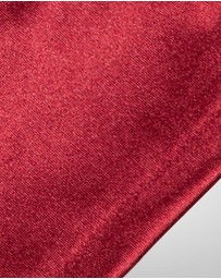 DENTS - Long Opera Satin Gloves