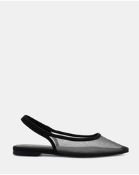 Novo - Cassey Flats