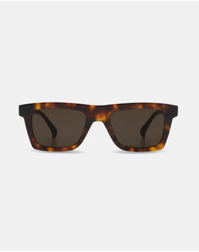 AM Eyewear - Steeb Large