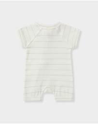 Susukoshi - Zip Suit Short Sleeves With Shorts