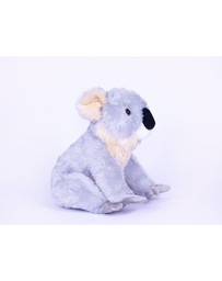 Animal Allsorts - Kobe Koala
