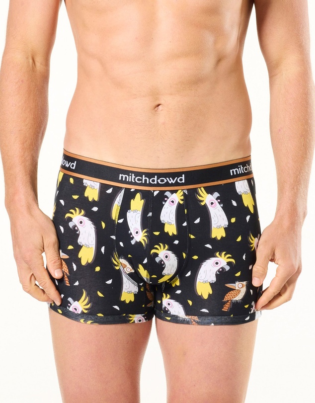 Mitch Dowd - Mitchdowd Mens 3 Pack Trunks in Stripe, Grey and Cockatoo Print