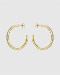 Ted Baker - CLANCI: Medium Crystal Hoop Earrings