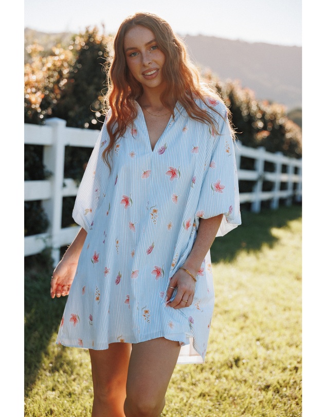 Petal & Pup - Doran Mini Dress - Blue Garden Stripe