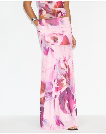 Pink Orchid