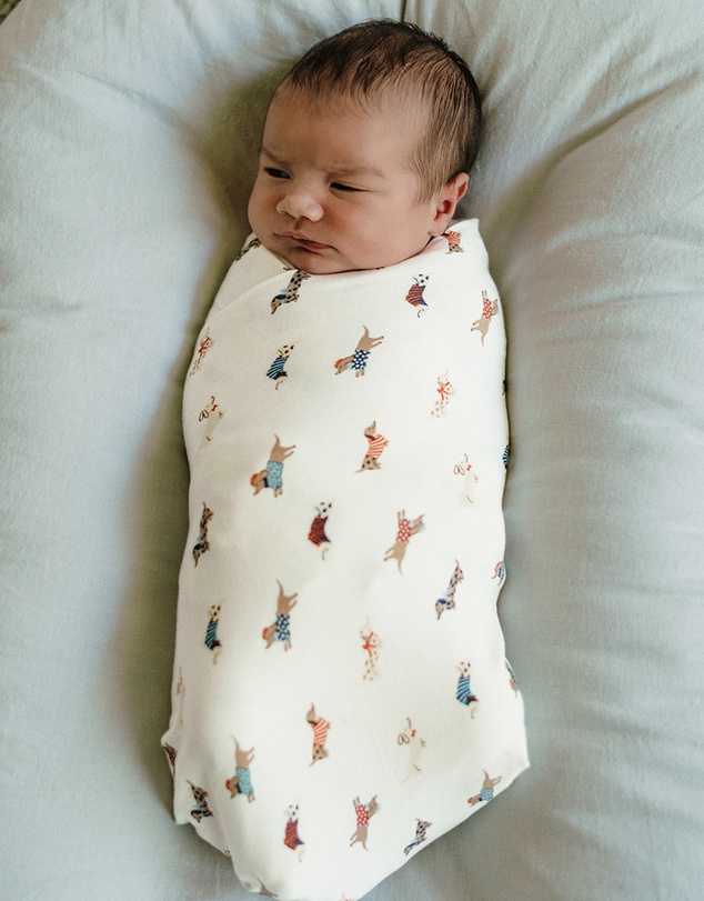 Kynd Baby - Large Stretchy Swaddle in Dachshund