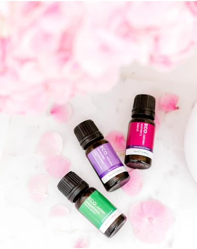 ECO. Modern Essentials - ECO. With Love Trio