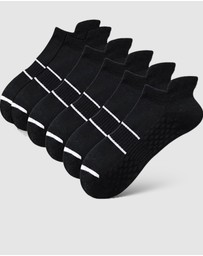High Heel Jungle - Cushion Support Sport Socks - 3 Pack