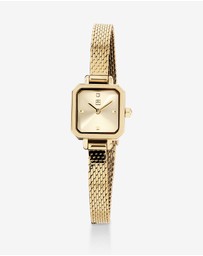 Michael Hill - Ladies 17mm Petite Watch in Gold-Tone Stainless Steel
