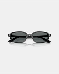 Ray-Ban - RB4455