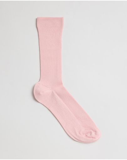 Pink Dusty Light