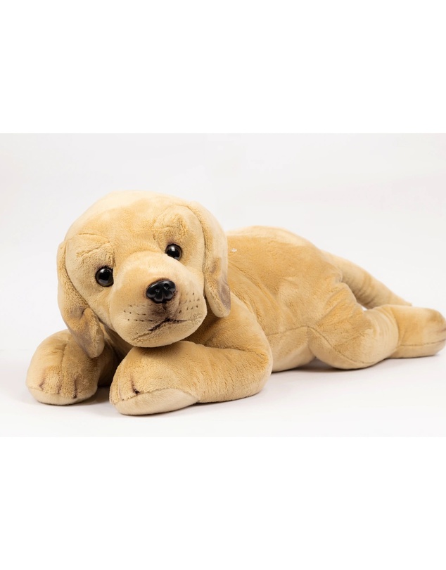 Animal Allsorts - Myles The Labrador
