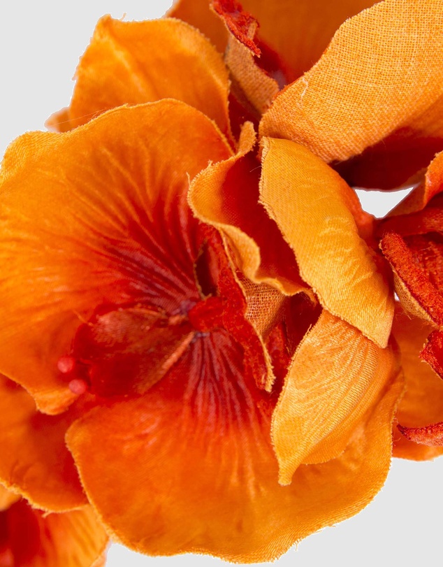 Max Alexander - Orange Orchid Flower Fascinator