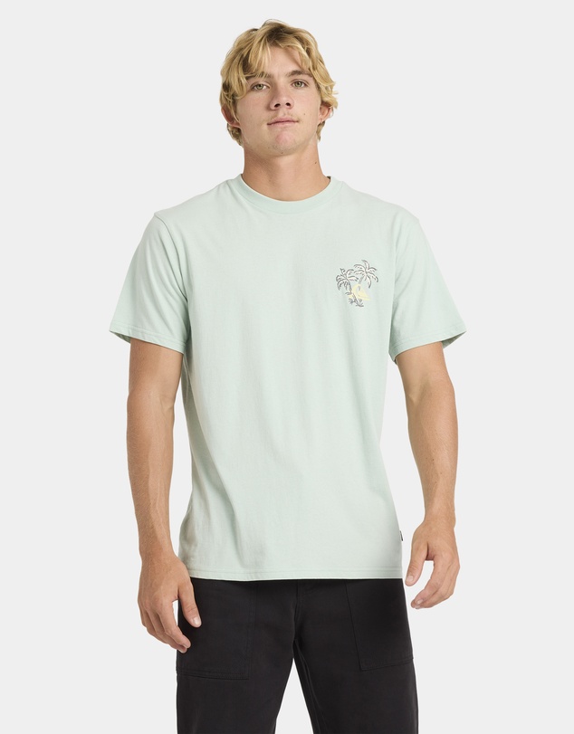 Quiksilver - Mens Nature Nomad T-Shirt