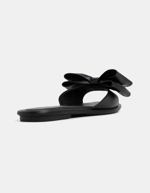 ALDO - Bowetta Ballerina & Flats