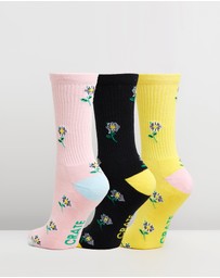Crate - Daisy Socks Bundle - Unisex