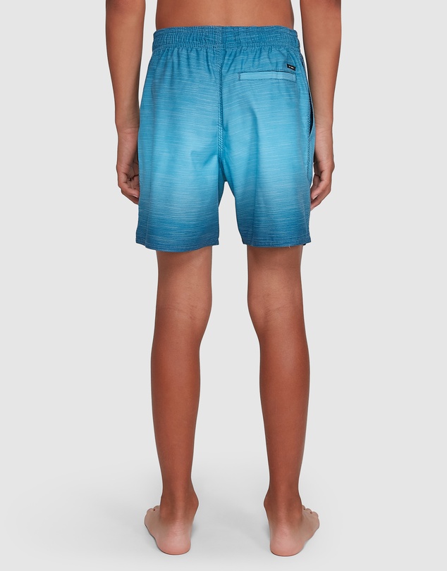 Billabong Kids - Boys 8 to 16 Sergio Layback 15