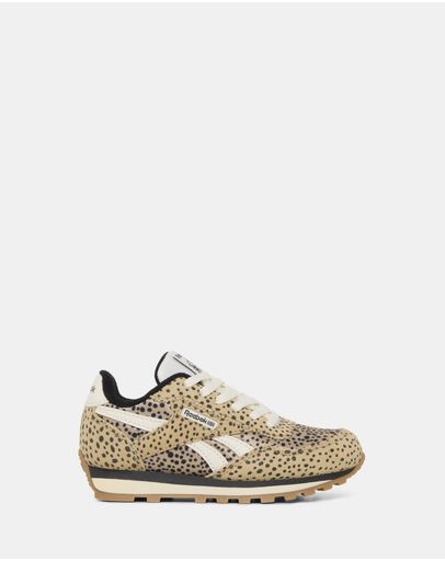 Cheetah/Cheetah/Chalk