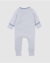 Bebe by Minihaha - Alvin Stripe Organic LS Zipsuit - Babies