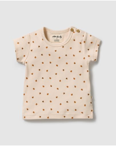Little Lady Bugs