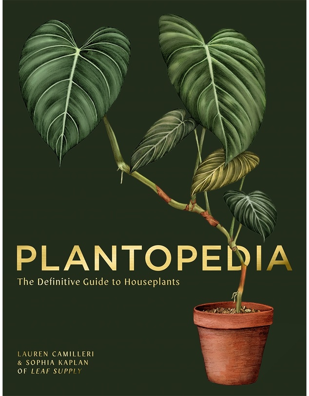 Brumby Sunstate - Plantopedia