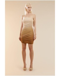 Bardot - Rumi Mesh Dress