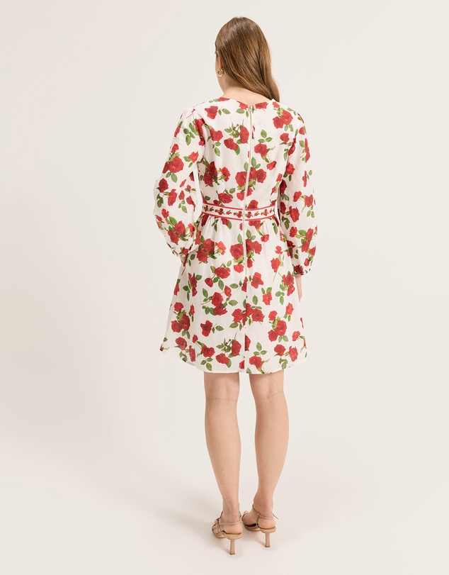 Review - Bella Vasette Dress