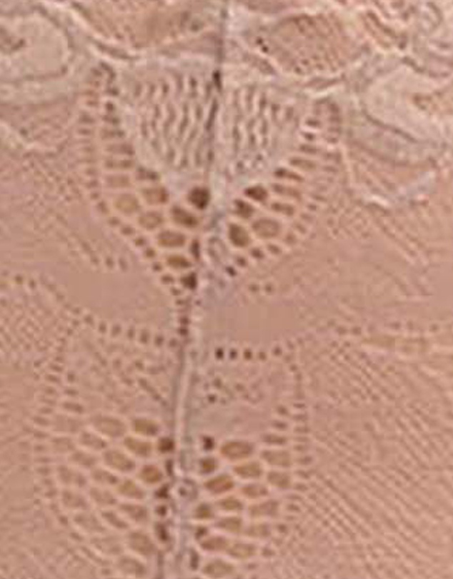 Sans Complexe - Arum Prima Mid Rise Sheer Stretch Lace Brief