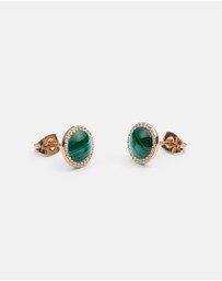 Daniel Wellington - Audrey Earrings Malachite