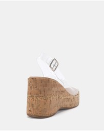 Novo - Belief Wedges