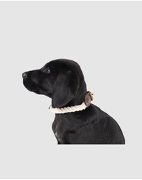 Mog & Bone - Rope & Leather Dog Collar- Natural